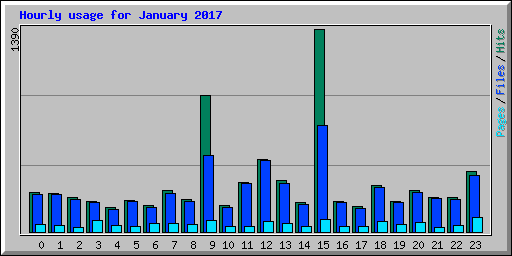 Hourly usage for January 2017